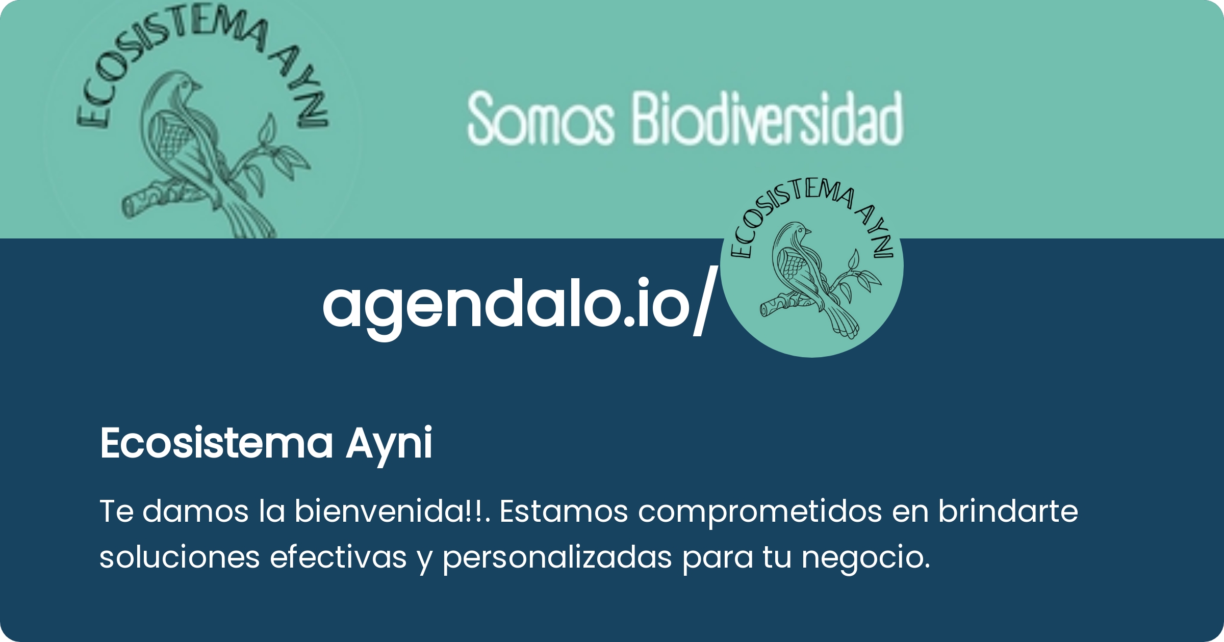 agendar-reuni-n-ecosistema-ayni-ag-ndalo